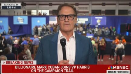 Mark Cuban Says Trump Has 'Gangsta' Appeal