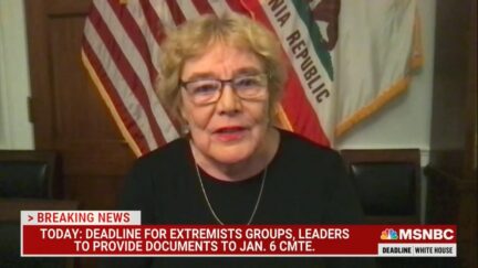 Rep. Zoe Lofgren (D-CA) on MSNBC on Dec. 7