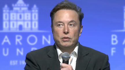 Elon Musk
