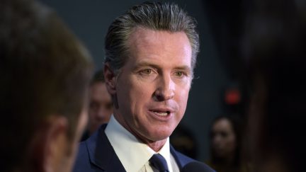 Gavin Newsom