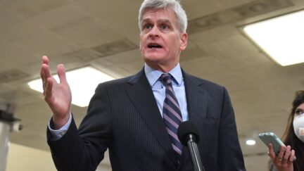 bill cassidy louisiana