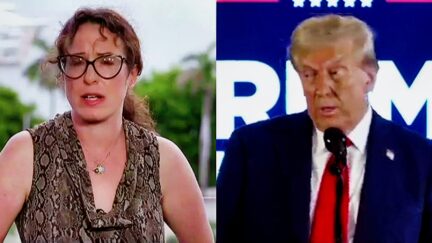 Maggie Haberman Greets 'Pariah, Felon, President-Elect' Trump's Victory With Brutal Deep Dive On Fight 'Back To Power'