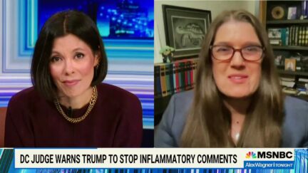 Mary Trump Tells MSNBC 'Common Criminal' Donald Trump Will Be Meek 'On Steroids' When He Surrenders In Georgia