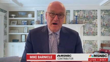 Barnicle