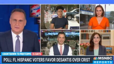 MSNBC Panel Highlights Republicans 'Effective' Communication with Hispanic Voters in Florida