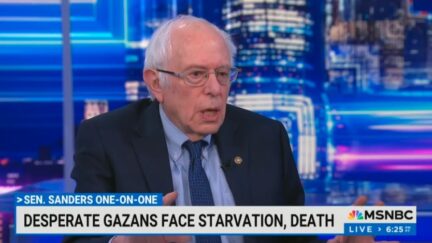 Bernie Sanders