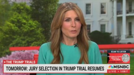 Nicolle Wallace on MSNBC