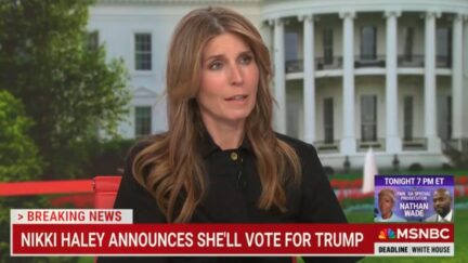 Nicolle Wallace
