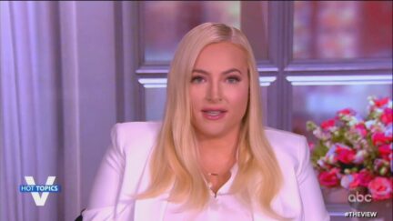 Meghan McCain on The View