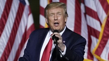 Donald Trump rally'