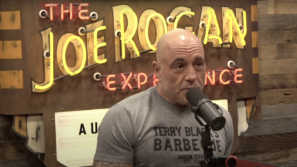 Joe Rogan Says Elon Musk 'May Have Very Well Saved Humanity'